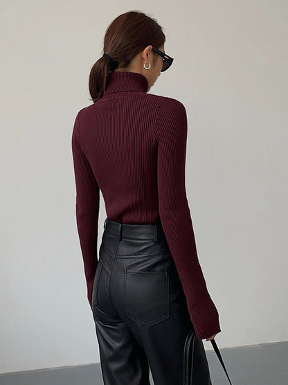 Minimalist Turtleneck İnce Örgü Üst