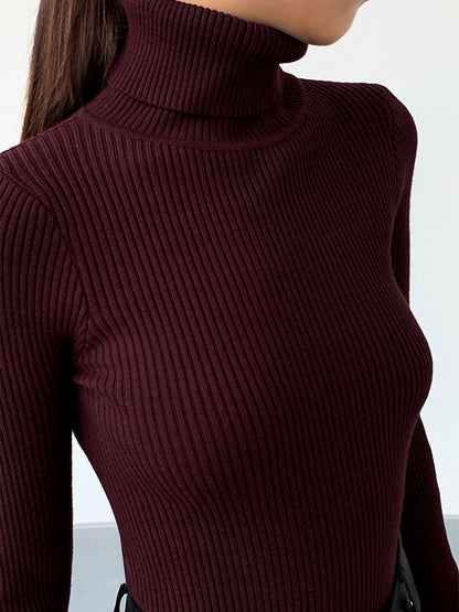 Minimalist Turtleneck İnce Örgü Üst