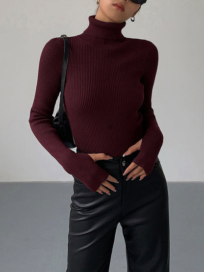 Minimalist Turtleneck İnce Örgü Üst