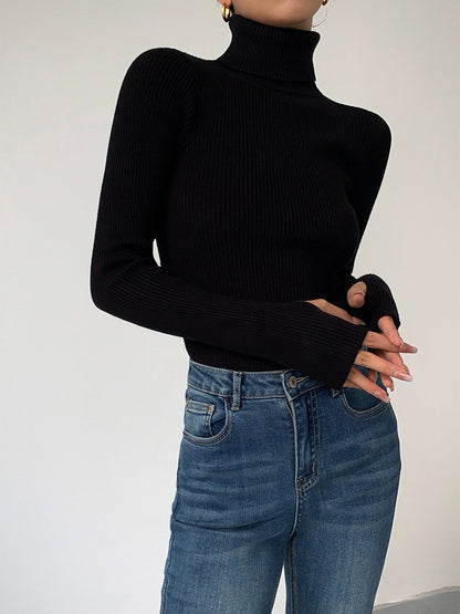 Minimalist Turtleneck İnce Örgü Üst