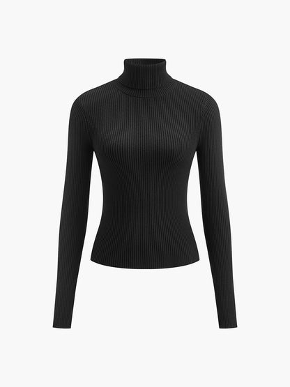 Minimalist Turtleneck İnce Örgü Üst